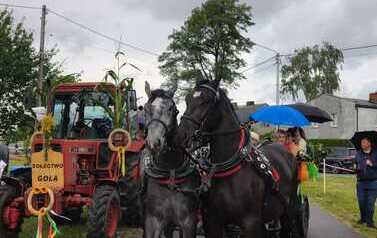 IMG-20260822-WA0014(2)
