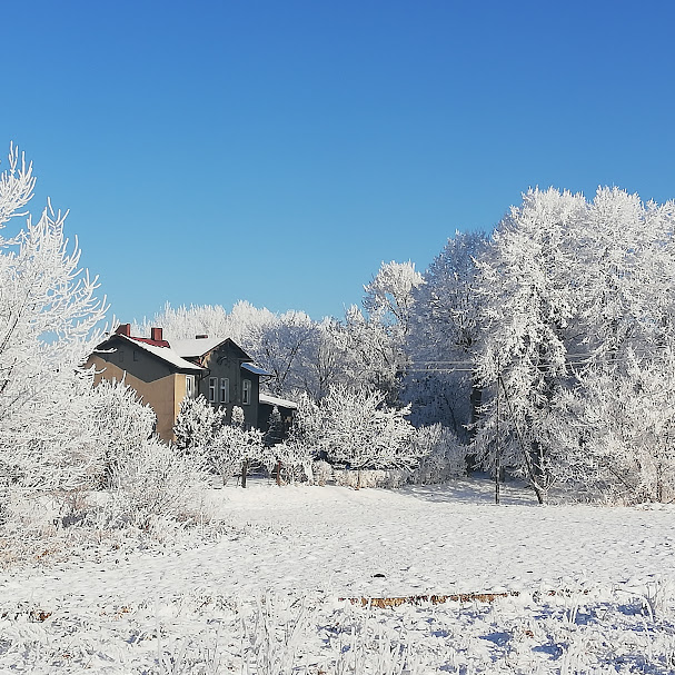 Zima, drzewa i&nbsp;domy ośnieżone