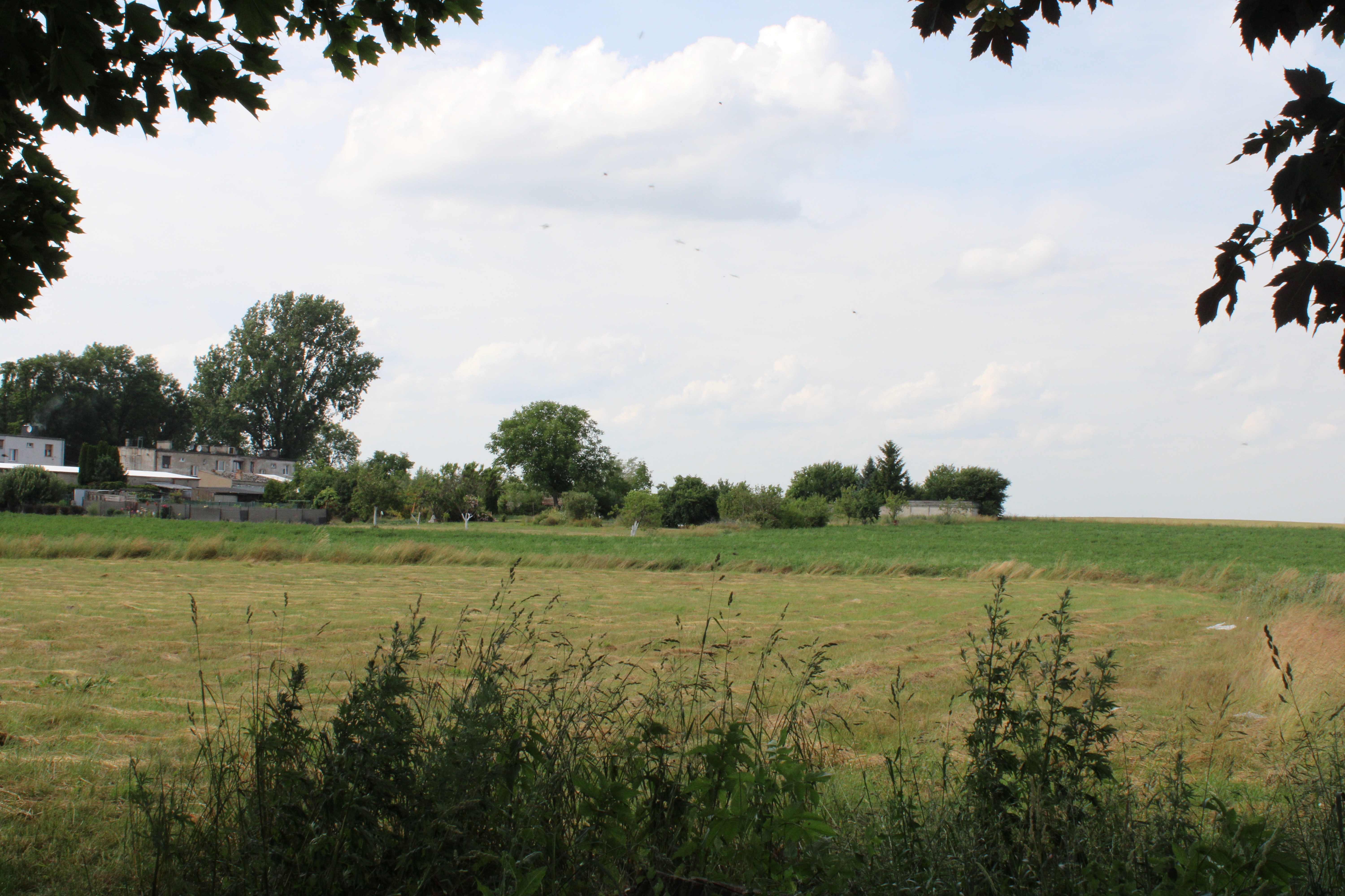 Teren zielony,  z&nbsp;tyłu budynki