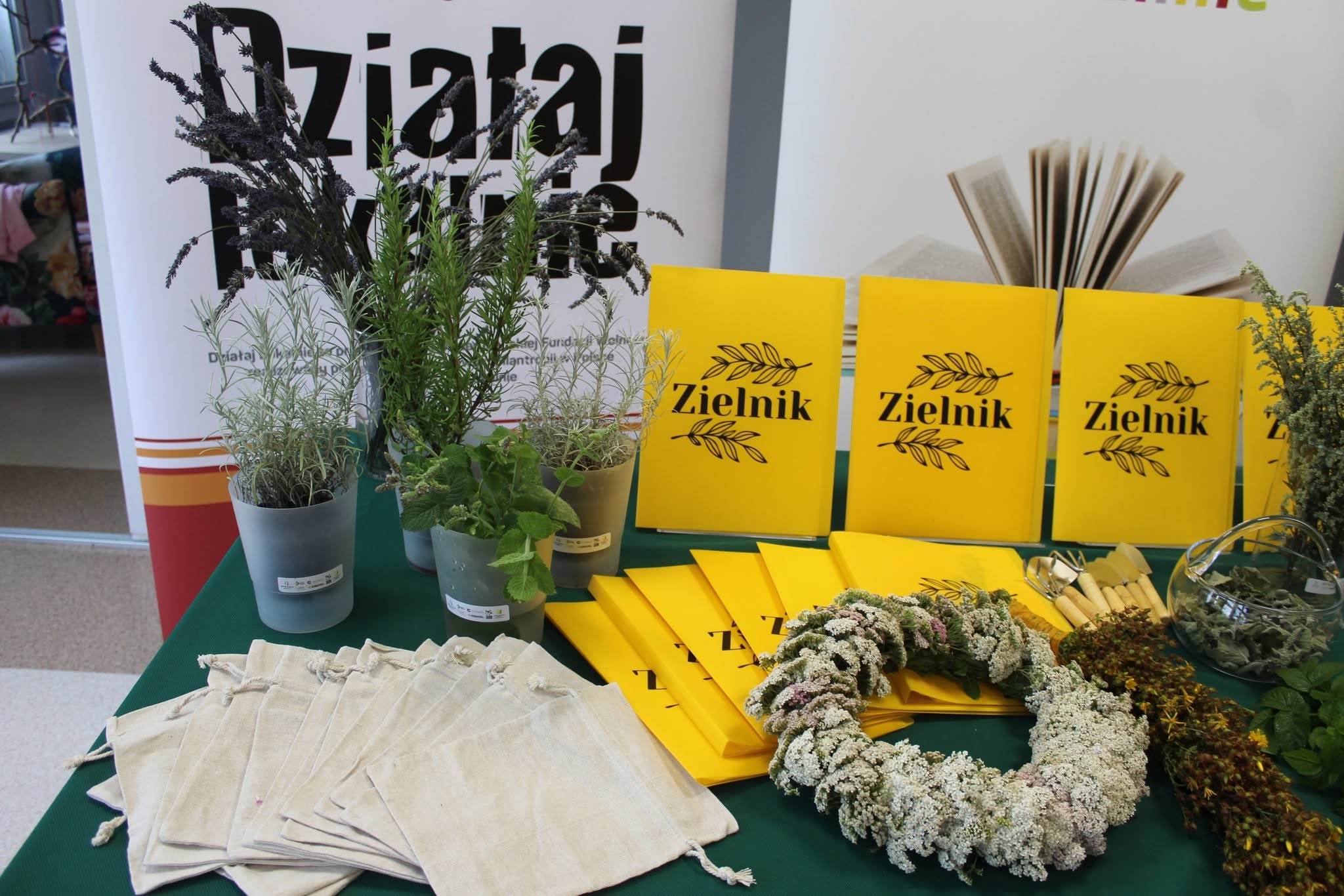 Zielnik w&nbsp;terenie