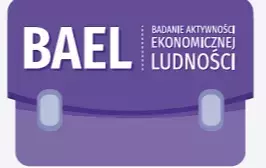 Torebka fioletowa badanie aktywności ekonomicznej