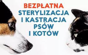 Grafika sterylizacja psów i kotów