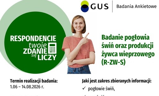Badania GUS