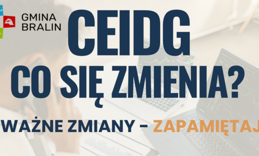 Infografika - CEIDG