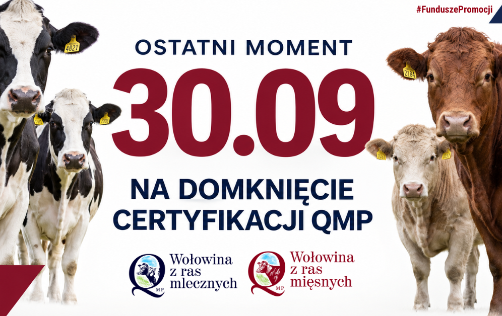 Zdjęcie artykułu z dnia 25-09-2026